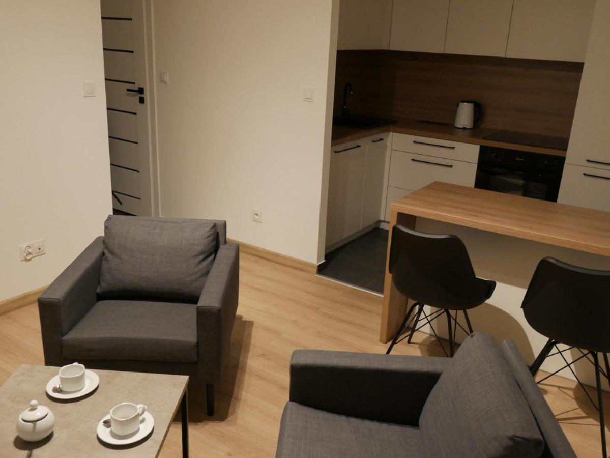 Auschwitz New Flat For Rent Air Conditioning In The Apartament Oswiecim Nowe Mieszkanie - Centrum Klimatyzacja W Mieszkaniu Apartment Exterior foto